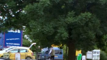 escrachan a una mujer que hace lo segundo al lado de un arbol escrachan a una mujer que hace lo segundo al lado de un arbol