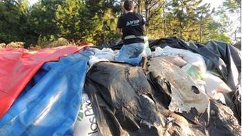 acusan a cerealeras de blanquear granos con empresas fantasmas acusan a cerealeras de blanquear granos con empresas fantasmas