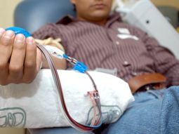 para la justicia europea, no dejar donar sangre a los gays esta justificado para la justicia europea, no dejar donar sangre a los gays esta justificado