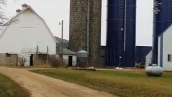 roban semen de toro por valor de u$s70.000 roban semen de toro por valor de u$s70.000