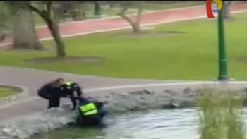 video: se cayo a un lago mientras jugaba pokemon go video: se cayo a un lago mientras jugaba pokemon go