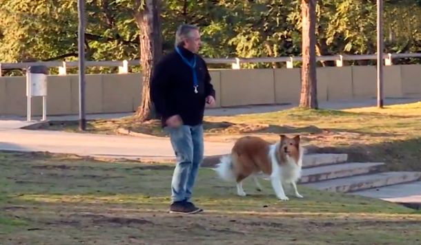 PASO 2019: Alberto Fernández sacó a pasear a su perro antes de votar