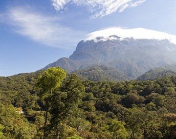 Se desnudaron y causaron una tragedia