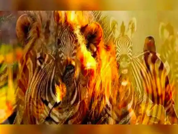 Descubre aspectos de tu personalidad según lo primero que veas en la imagen.