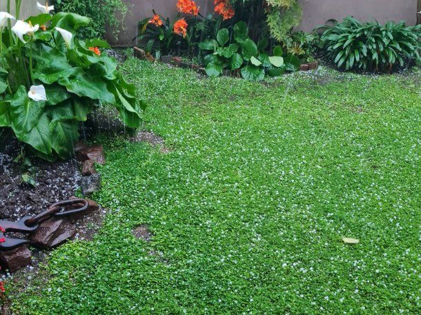 Fotos y videos: reportan caída de granizo en gran parte del AMBA y La Pampa