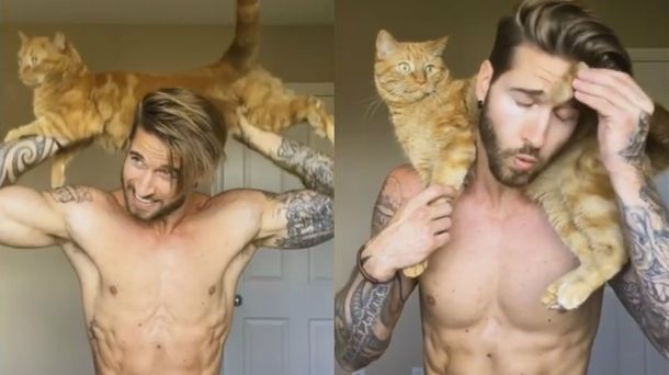 Hizo gimnasia con su gato y Facebook se llenó de amantes de los felinos