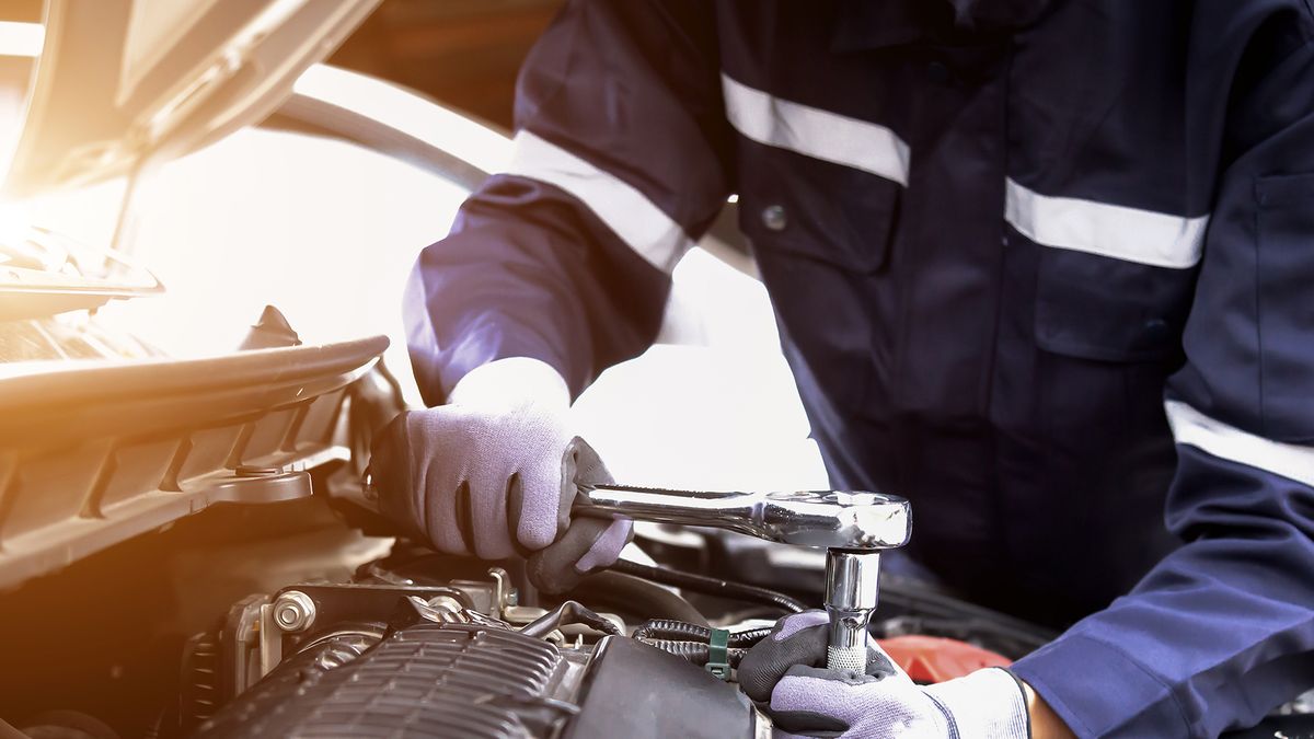 Imagen noticia completa