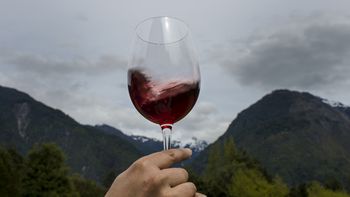 Los mejores vinos Los mejores vinos