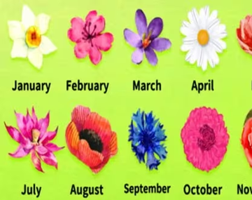 La flor correspondiente a tu cumpleaños revelará cómo sos