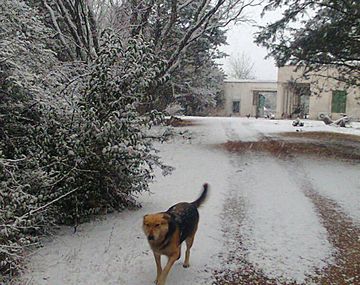 Córdoba: intensas nevadas en la zona de los incendios