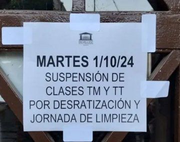 Rosario: suspenden las clases en una escuela porque un alumno fue mordido por una rata en el baño