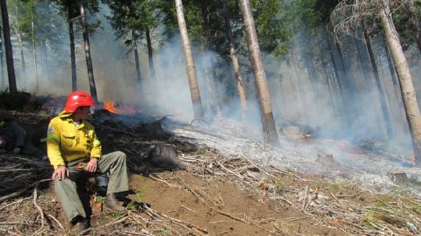 Incendio forestal en Los Repollos - Crédito: Río Negro