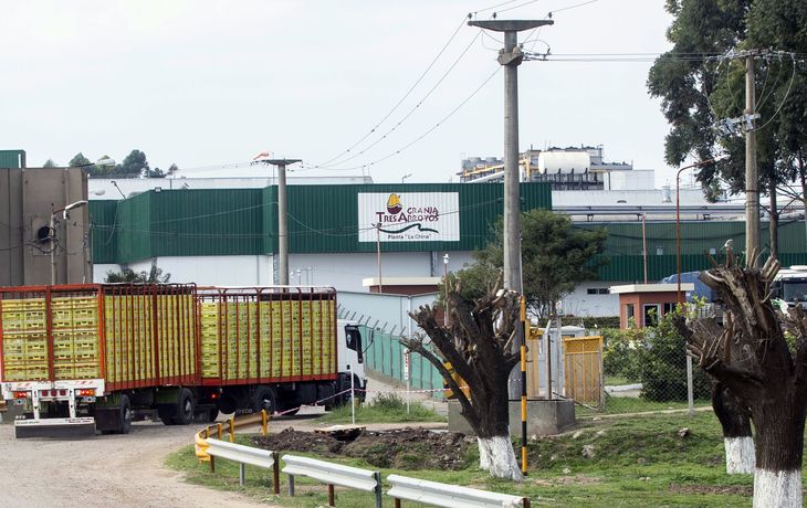 Granja Tres Arroyos en Entre Ríos: al menos 80 empleados se quedaron sin trabajo y se manifiestan