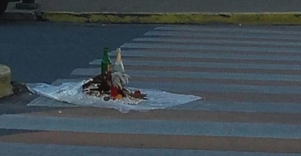 Macabro hallazgo en la puerta de un colegio de La Plata: ¿ofrenda o rito oscuro?