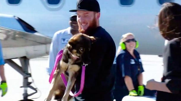 Rescatan a una perra náufraga que estuvo 5 semanas perdida en altamar