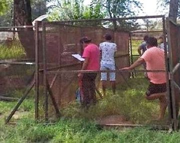 Ponían a los que no hacían la cuarentena en una jaula