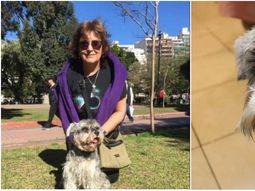 Garufa, el perro robado