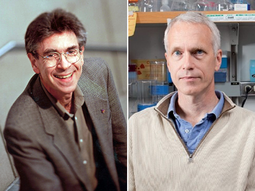 premiaron a dos estadounidenses con el nobel de quimica premiaron a dos estadounidenses con el nobel de quimica