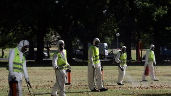 advierten por un pico maximo de casos de dengue para fines de marzo advierten por un pico maximo de casos de dengue para fines de marzo