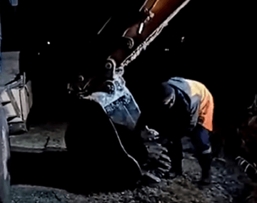 Increíble rescate de un perro que iba a morir congelado en un lago de Rusia