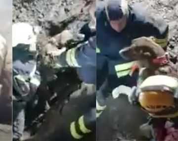 Bomberos rescataron a dos perros de una cantera llena de explosivos