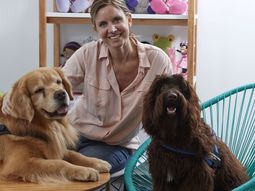 Ciudad: presentaron a Brownie, el nuevo perros de terapia para personas menores de edad que deban declarar ante la Justicia
