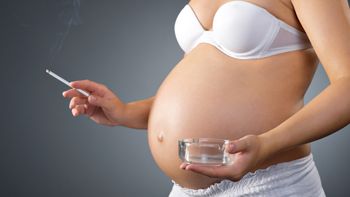 peligros del zika en el embarazo peligros del zika en el embarazo