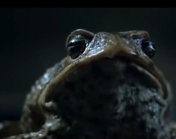 La campaña invade la TV: mirá los nuevos spots