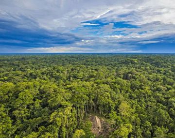 La NASA descubrió un río abajo de la Amazonia