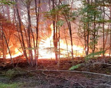 Incendios forestales: seis provincias registran focos activos