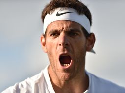 se calento la torre: mira el fuerte cruce verbal entre del potro y pouille se calento la torre: mira el fuerte cruce verbal entre del potro y pouille