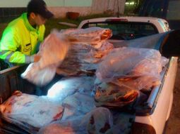Fue detenido cuando transportaba ilegalmente 41 costillares
