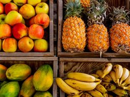 como eliminar todas las bacterias de las frutas antes de comerlas con este metodo casero como eliminar todas las bacterias de las frutas antes de comerlas con este metodo casero