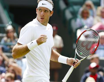 Del Potro y un duro examen ante Ferrer en Wimbledon