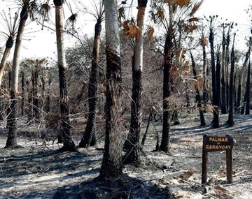 Parque provincial San Cayetano, Corrientes. Foto: El once.