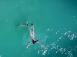 Se salvó de un ataque de tiburón Se salvó de un ataque de tiburón