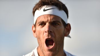 se calento la torre: mira el fuerte cruce verbal entre del potro y pouille se calento la torre: mira el fuerte cruce verbal entre del potro y pouille