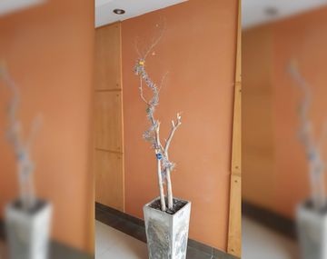 Se quejó de la decoración navideña de su edificio en las redes sociales y su posteo fue furor