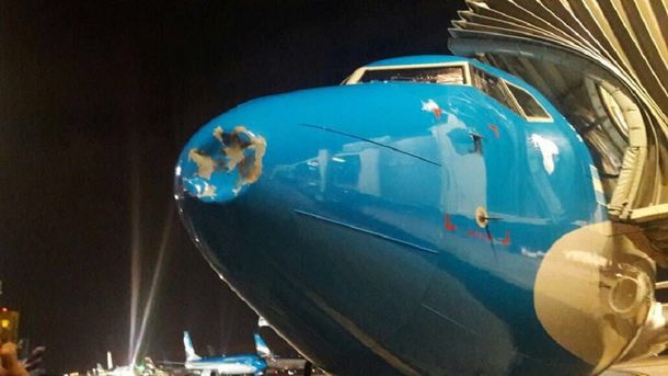 Susto en el aire: un pájaro golpeó a un avión en pleno vuelo y lo abolló