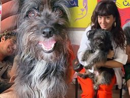 Fiel compañera y nada Envidiosa: la historia detrás de Roto