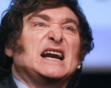 Presentaron el primer pedido de juicio político contra Javier Milei