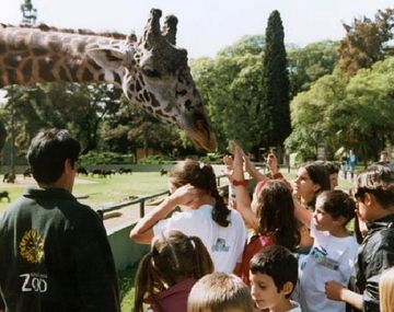 Vacaciones de invieron en el Zoo