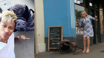 ideal para halloween: una arana mecanica casi mata del susto a los distraidos ideal para halloween: una arana mecanica casi mata del susto a los distraidos