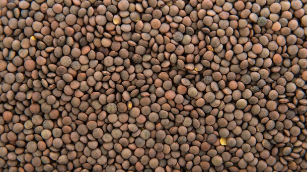 Ritual con lentejas que atraerá la prosperidad en 2026