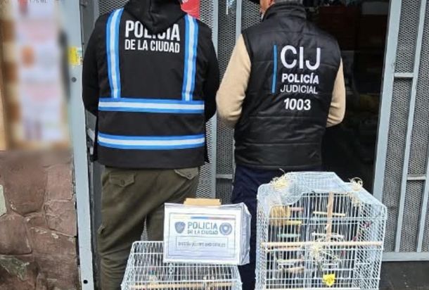 Maltrato animal en Villa Urquiza: rescataron cuatro aves que estaban en venta en un supermercado