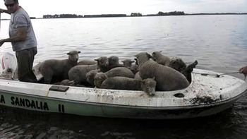 preven que el desagote de la inundacion por el desborde del rio salado se hara en 15 dias preven que el desagote de la inundacion por el desborde del rio salado se hara en 15 dias