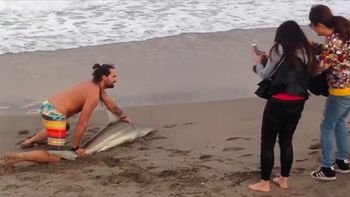 ¿otra vez sopa? sacan del agua a un tiburon para sacarse una foto ¿otra vez sopa? sacan del agua a un tiburon para sacarse una foto