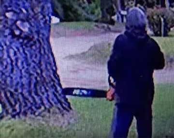 Detuvieron al hombre que atacaba casas con una motosierra en Pinamar