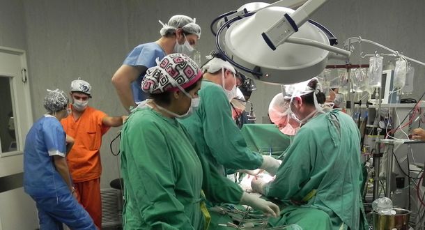 Revolución en la medicina: logran trasplantar corazones sin vida