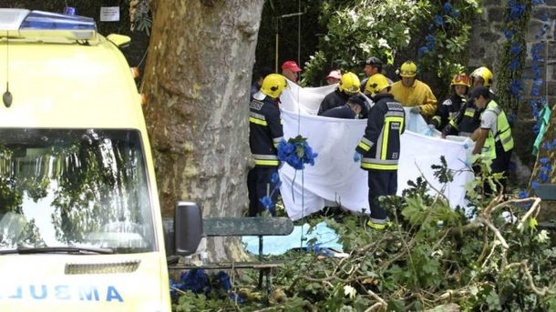 Cayó un árbol durante una misa y mató a 13 personas - Crédito: okdiario.com